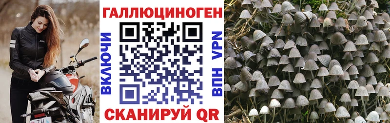 Псилоцибиновые грибы мухоморы  гидра вход  Нахабино 