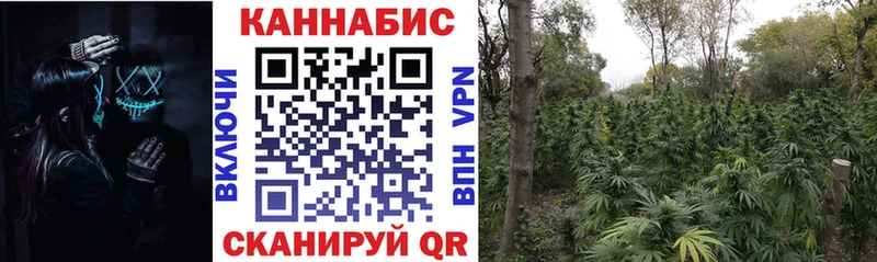 Бошки марихуана SATIVA & INDICA  дарнет шоп  Нахабино 